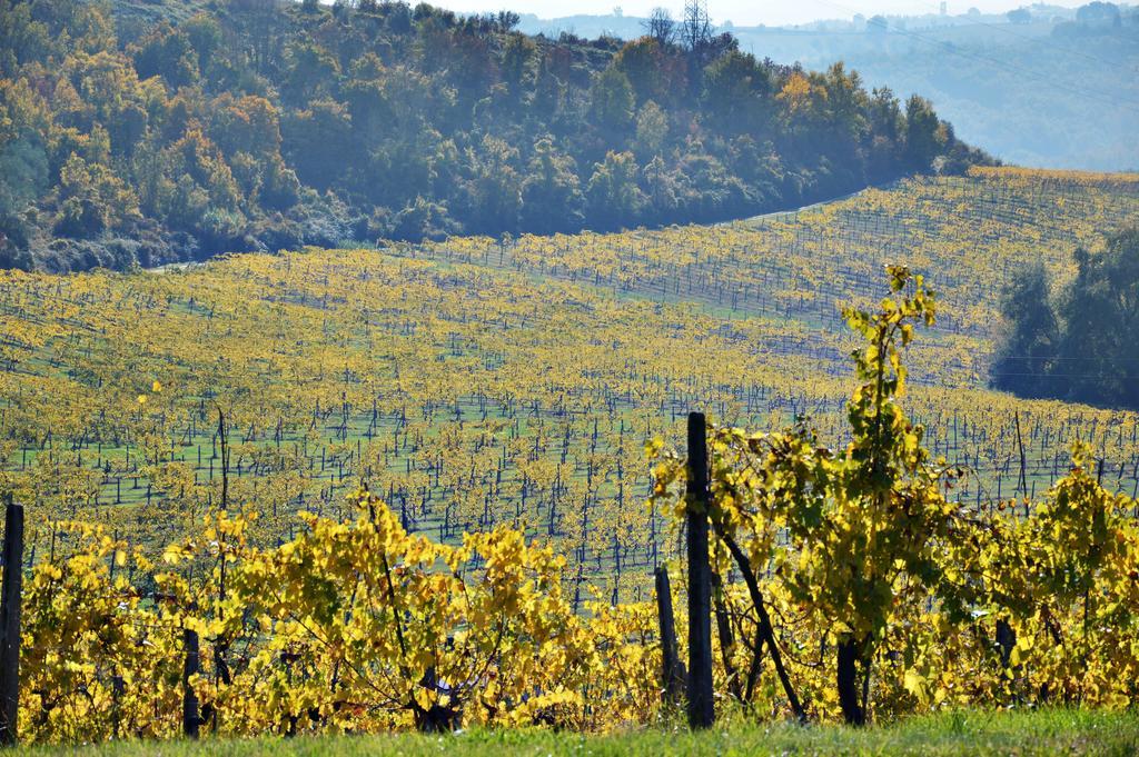 Adalberto - Nella Dimora Di Fulignano San Gimignano Exterior foto